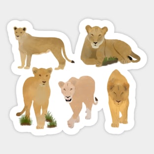 Fierce Lioness Pattern Sticker